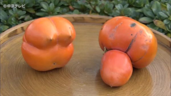 ちょっとはずかしい形の柿に、二股のニンジン…“珍食材”続々！　