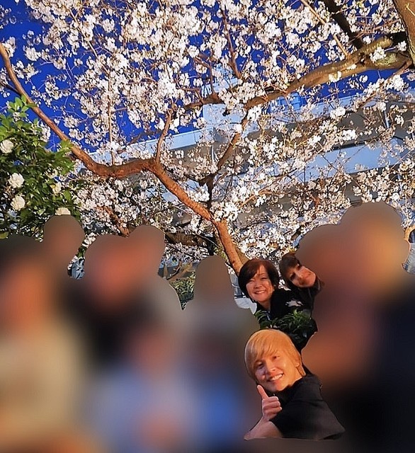 安倍昭恵氏、花見自粛要請の中で私的｢桜を見る会｣していた
