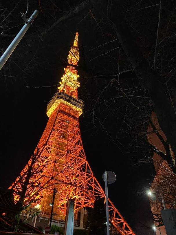 私東京に住んでるから毎晩夜景や東京タワーを見るの