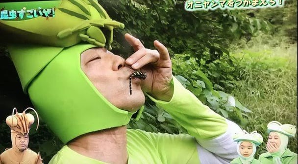 香川照之プロデュースの昆虫アニメ『インセクトランド』泊明日菜、花江夏樹らメインキャスト発表。