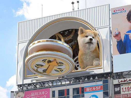 突如渋谷に現れた“超巨大な秋田犬”！　本当にその場にいるかのような3D映像に思わず大興奮