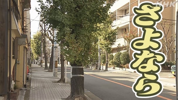 毒ワクチン、毒5G大虐殺のために大阪の街路樹 3000本伐採へ 