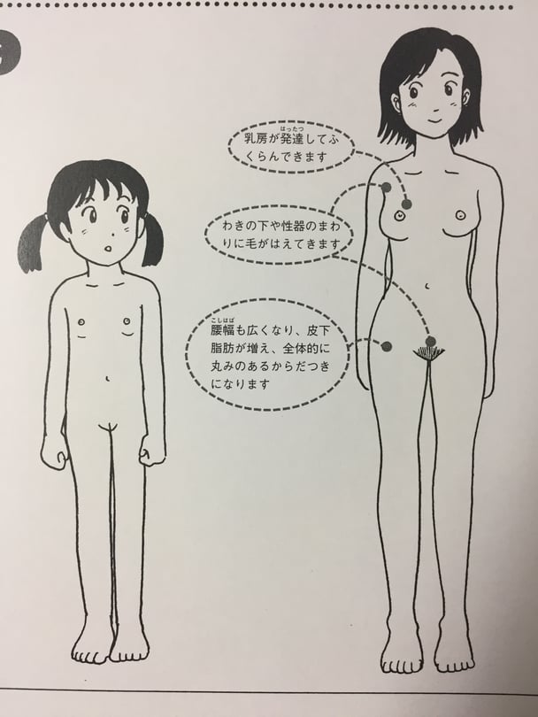 【画像】性教育の本に登場する女子小学生と成人女性