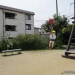 「ターザンロープ」で女児が指切断か　市は遊具使用を中止　大阪・岸和田市