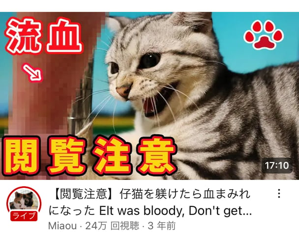 【猫】この猫の躾はママスタでは虐待？？？