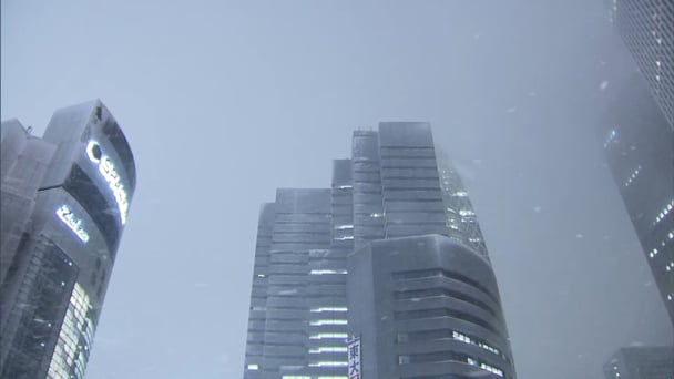 東京23区　降雪と雷が同時発生　気象庁HP「世界的に珍しい」電気量多く被害が大きくなることも