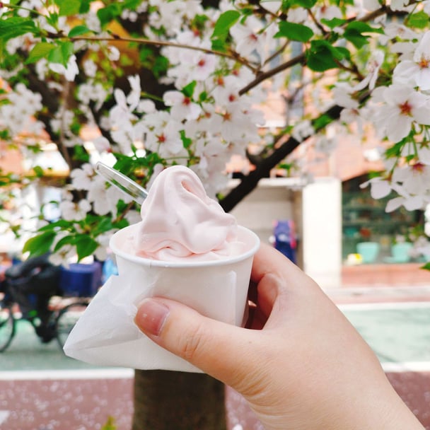 お花見しながら桜ソフト食べたよー！