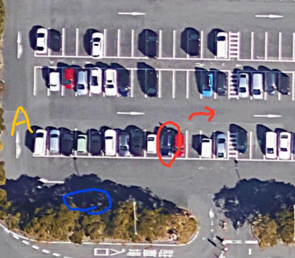 今日公園の駐車場で。どう思う？