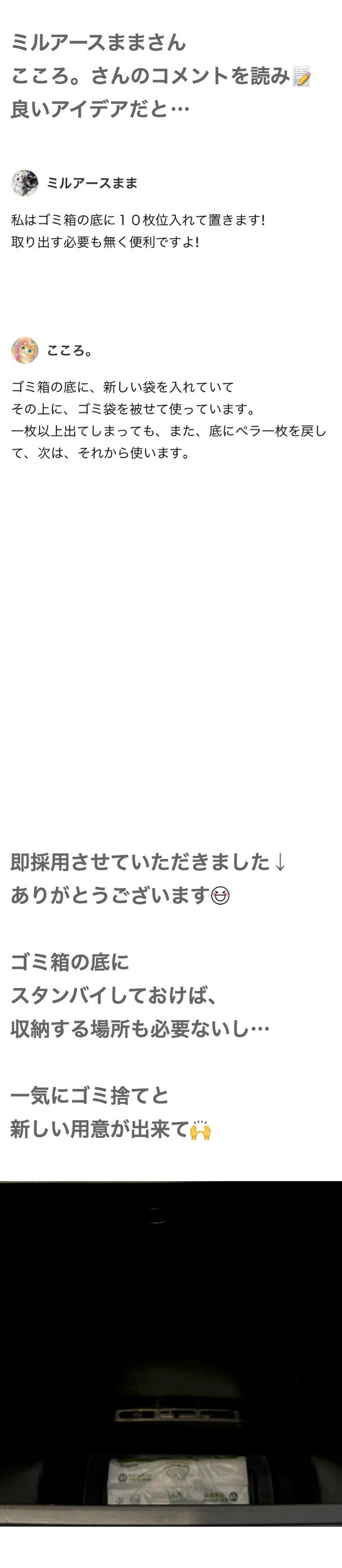 豆腐と節男と時々ズミ