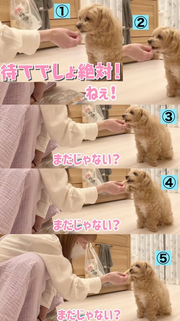 辻希美ちゃんに対する私の本音