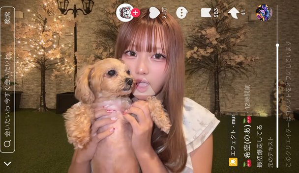 辻希美ちゃんに対する私の本音